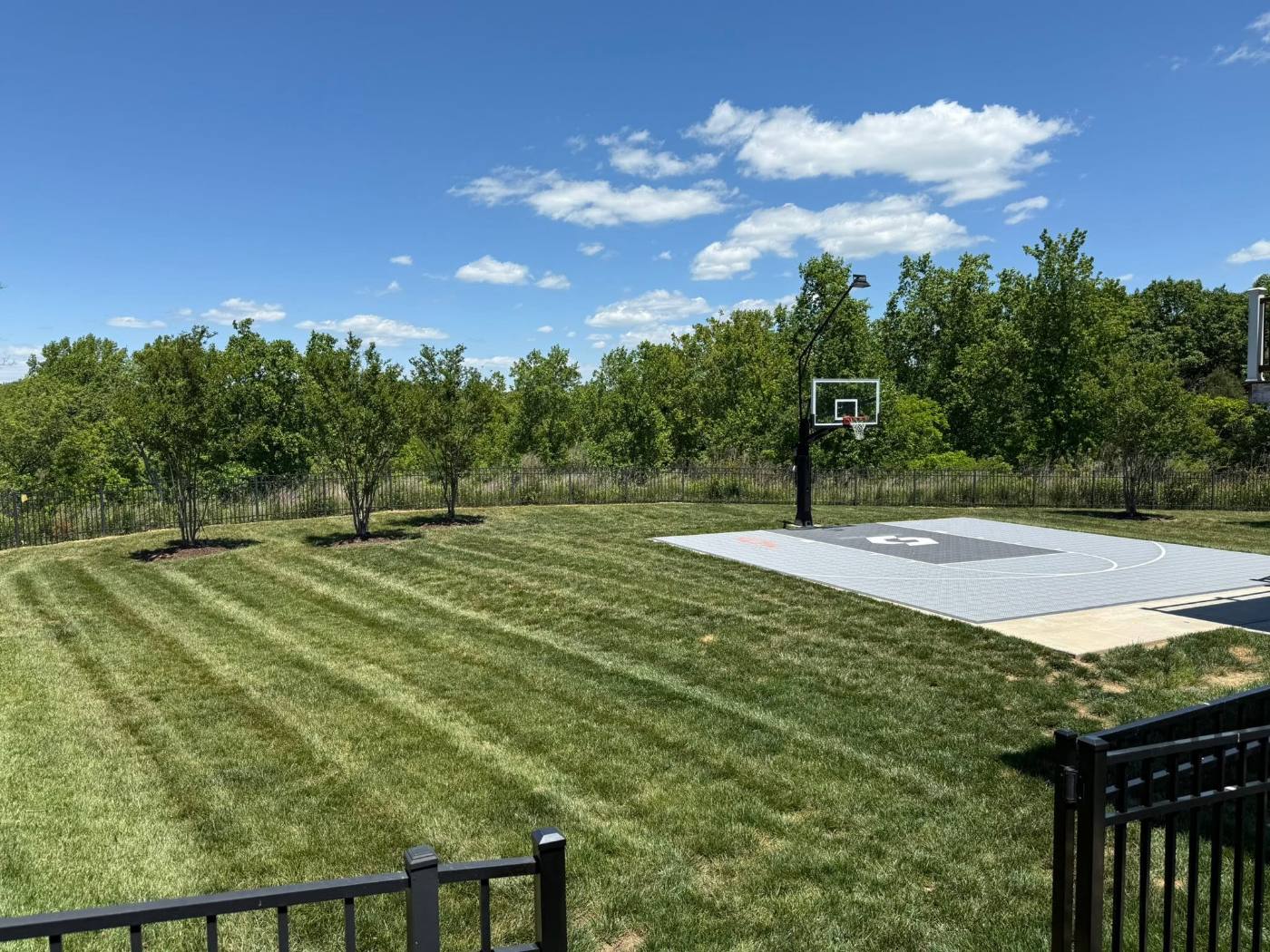 Backyard lawn mowed in clean stripes up to a private basketball court, with mulched tree rings and a black aluminum fence